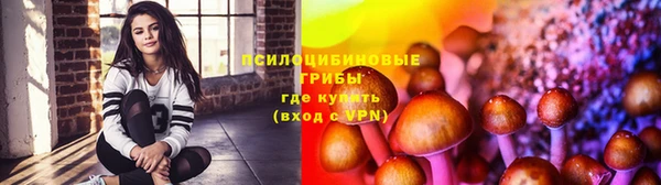 ГАЛЛЮЦИНОГЕННЫЕ ГРИБЫ Баксан