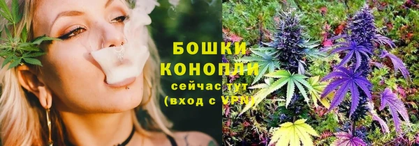 трава Армянск
