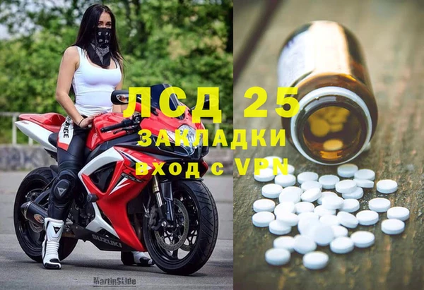 ГАЛЛЮЦИНОГЕННЫЕ ГРИБЫ Баксан